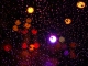 Karaoke - Purple Rain - Randy Crawford - Playback, strumentale...