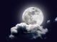 Karaoke - In The Misty Moonlight - Dean Martin - Playback, strumentale...