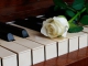 Karaoke - Romanza - Andrea Bocelli - Playback, strumentale...