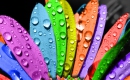 The Sun and the Rain - Karaoke Strumentale - Madness - Playback MP3 The Sun and the Rain - Karaoke Strumentale - Madness - Playback MP3