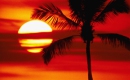 Calypso - Karaoke Strumentale - Luis Fonsi - Playback MP3 Calypso - Karaoke Strumentale - Luis Fonsi - Playback MP3