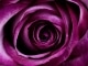 Base per Chitarra Days of Wine and Roses - Tony Bennett